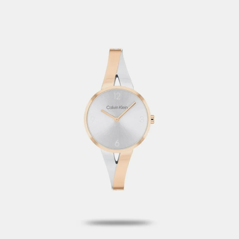 Women Quartz Silver Dial Analog Stainless Steel Watch - 25100028